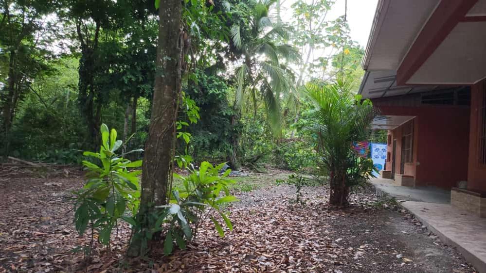 Hostel Manuel Antonio Park Jungle Exterior foto